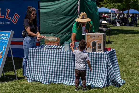 Synergy Summer Picnic 2025 228