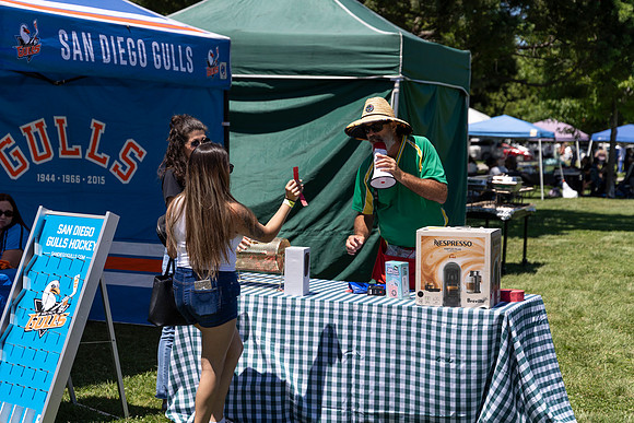 Synergy Summer Picnic 2025 236