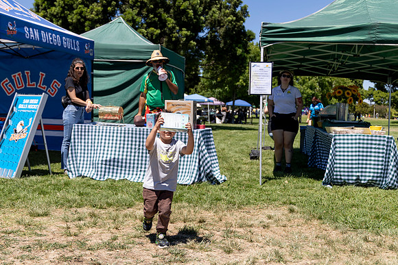 Synergy Summer Picnic 2025 229