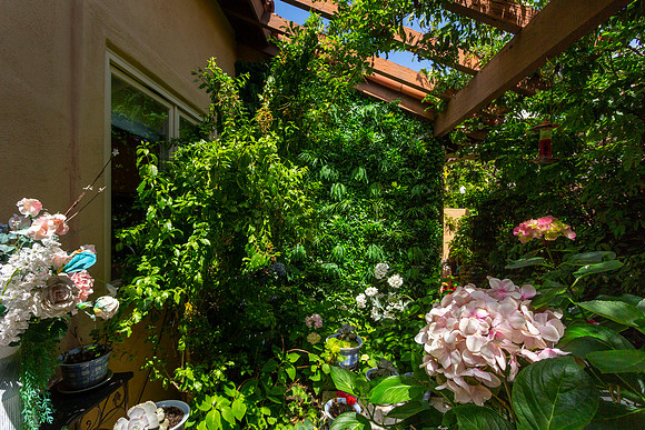 15448 Pimlico Corte 46