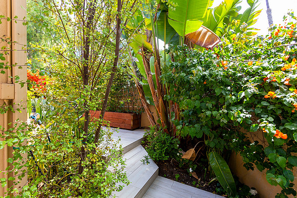 15448 Pimlico Corte 52