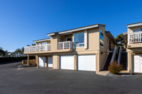 816 Sea Turf 01