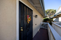 816 Sea Turf 03
