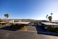816 Sea Turf 07