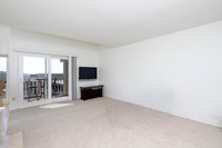 816 Sea Turf 13