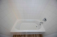 2218 Via Blanca MI Bath 18