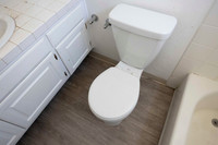 2223 Via Esmarca A Move Out Bath 01 10