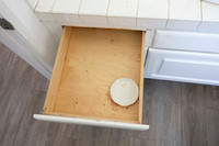 2223 Via Esmarca A Move Out Bath 01 11