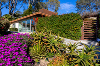 560 Orchid Ln