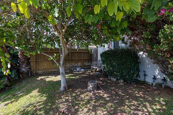 2112 Thomas Ave 02