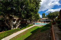 6386 Rancho Mission Rd #313 19