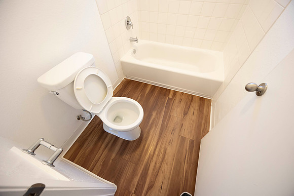 2226 Via Blanca D MO Bathroom 12
