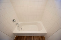 2226 Via Blanca D MO Bathroom 14