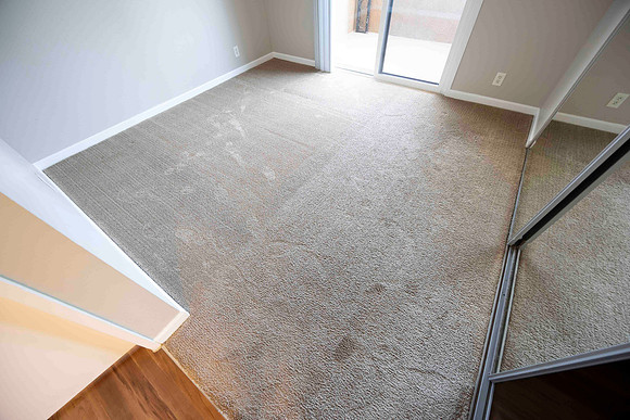 2226 Via Blanca D MO Bedroom 02