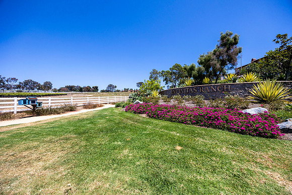 848 Jensen Court 12