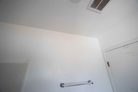 2297 Via Esmarca C Move Out Bathroom 19