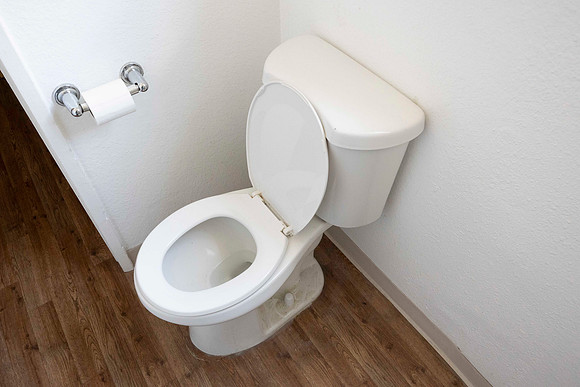 2297 Via Esmarca C Move Out Bathroom 22