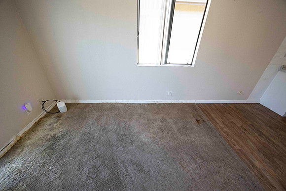 2297 Via Esmarca C Move Out Living Room 11