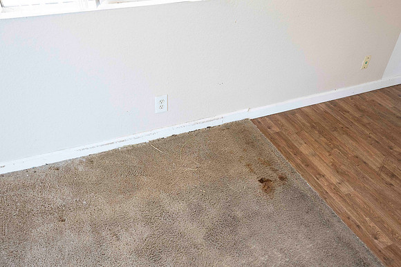 2297 Via Esmarca C Move Out Living Room 12
