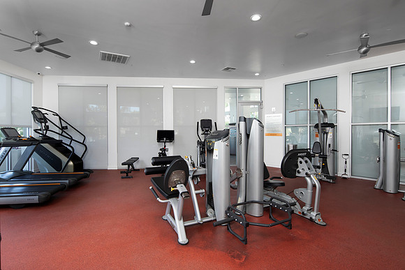 Solterra 15
