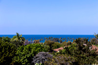 2435 Paseo Dorado 03