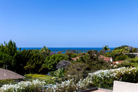2435 Paseo Dorado 04