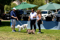 Synergy Summer Picnic 2025 017