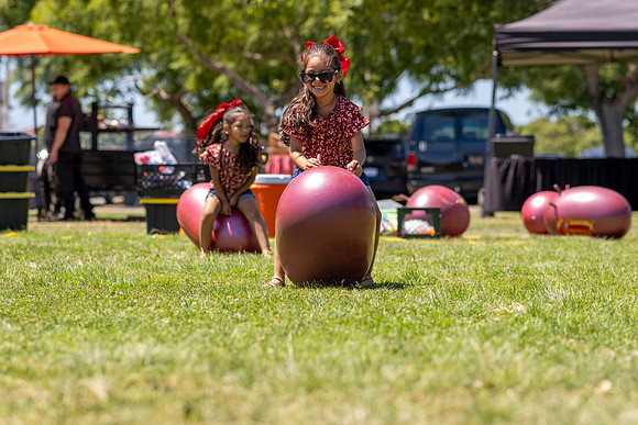 Synergy Summer Picnic 2025 060
