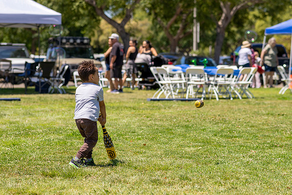 Synergy Summer Picnic 2025 066