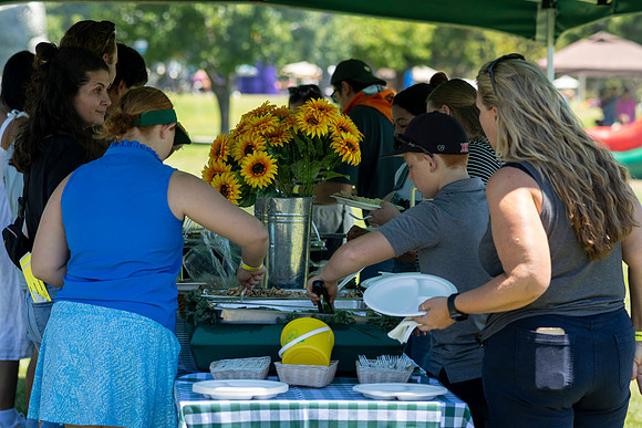 Synergy Summer Picnic 2025 018
