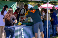 Synergy Summer Picnic 2025 009