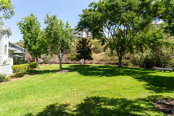 9940 Scripps Vista Way #135 023