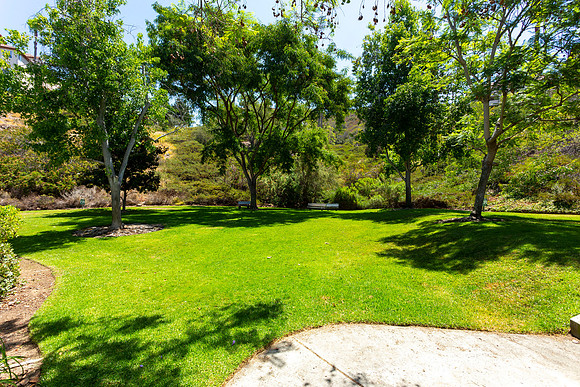 9940 Scripps Vista Way #135 022