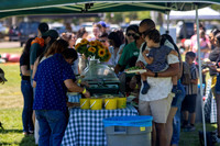 Synergy Summer Picnic 2025 012