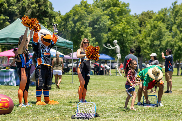 Synergy Summer Picnic 2025 101