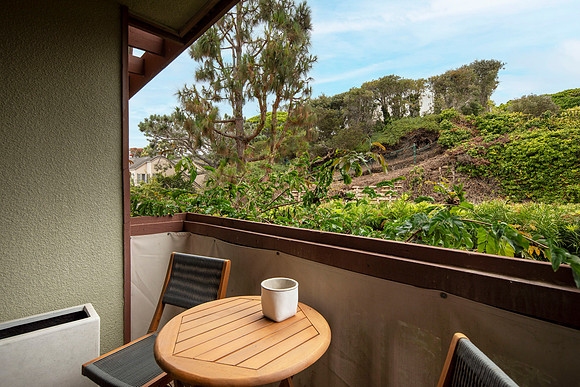 1562 Camino Del Mar #547 23
