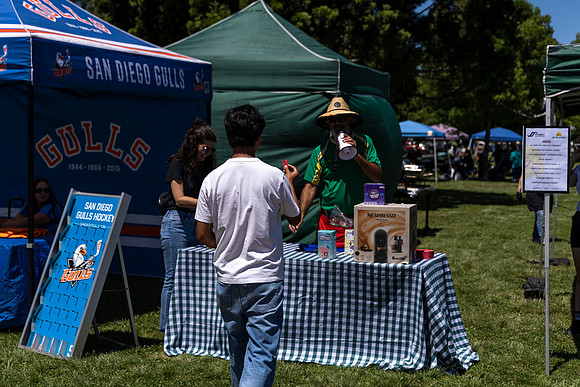 Synergy Summer Picnic 2025 232
