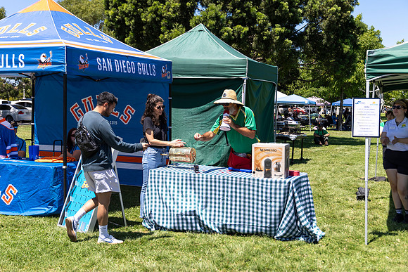 Synergy Summer Picnic 2025 240