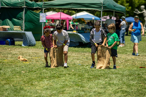 Synergy Summer Picnic 2025 201