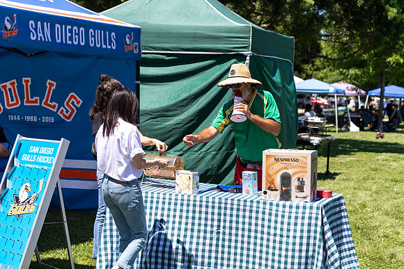 Synergy Summer Picnic 2025 234
