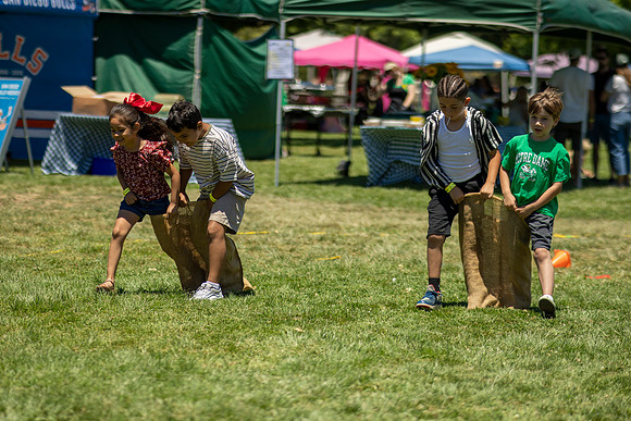 Synergy Summer Picnic 2025 202