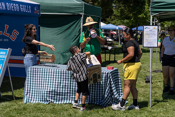 Synergy Summer Picnic 2025 242