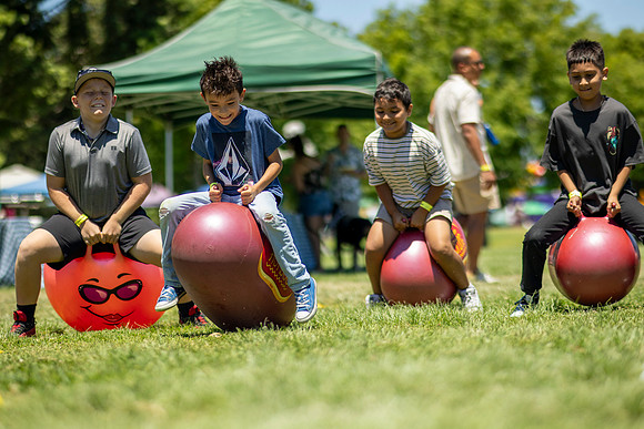Synergy Summer Picnic 2025 210