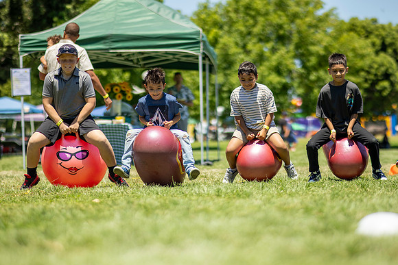 Synergy Summer Picnic 2025 209