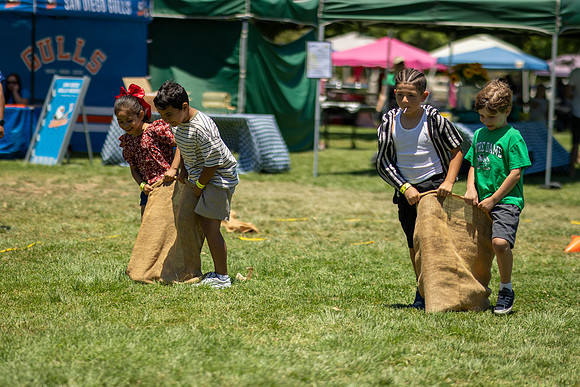 Synergy Summer Picnic 2025 203