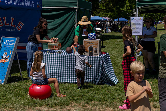 Synergy Summer Picnic 2025 223
