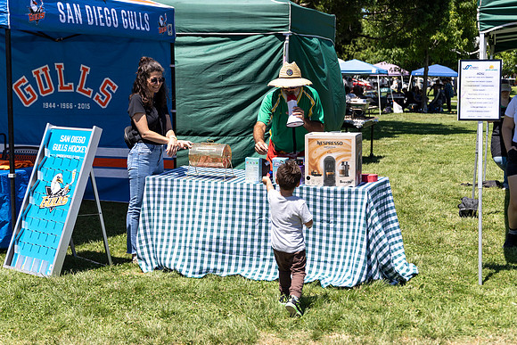 Synergy Summer Picnic 2025 227